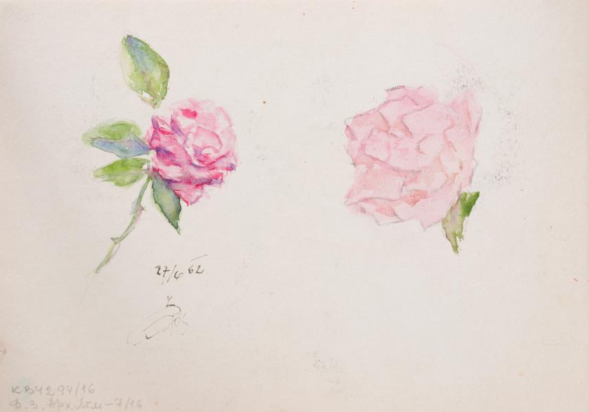 Drawing of a Rose 2