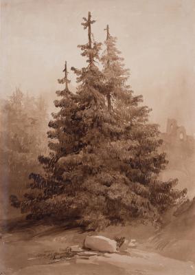 Fir Trees — Karol Boratynski