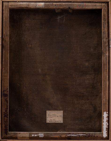 Portrait of Mikolaj Potocki 2