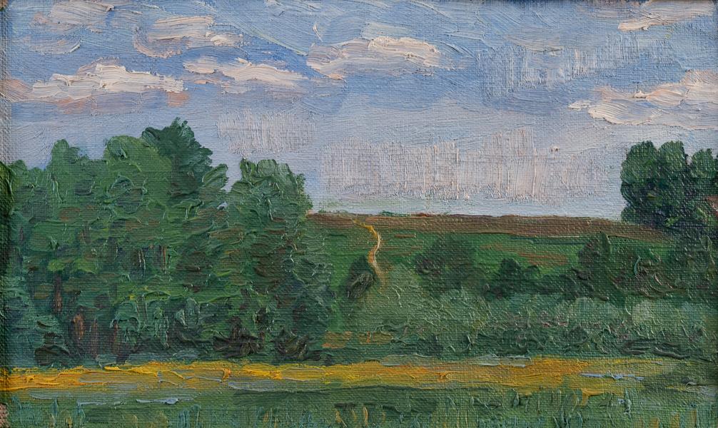 Літній день 1