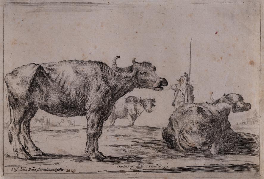 In the Pasture