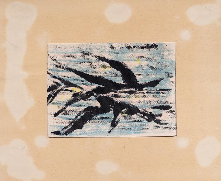 Birds 1