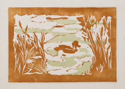 Duckling — Yaroslava Muzyka