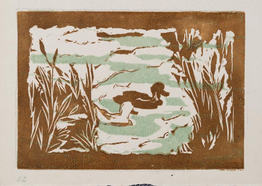 Duckling 1