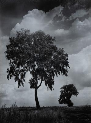 Untitled — Volodymyr Olkhomiak