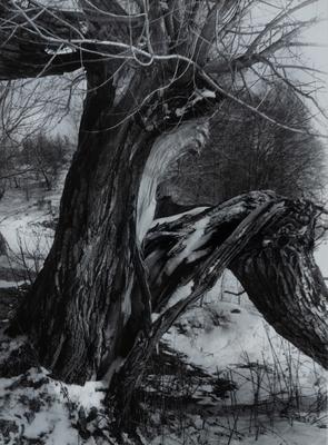 Untitled — Volodymyr Olkhomiak