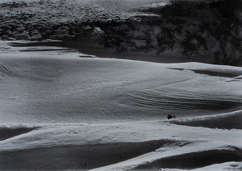 Snow Dunes