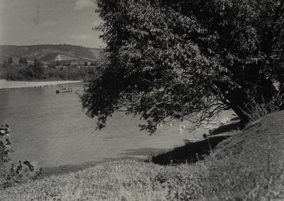 Ferry on the Stryi River — Volodymyr Olkhomiak