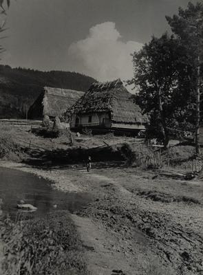 Бойківська хата — Володимир Ольхомяк