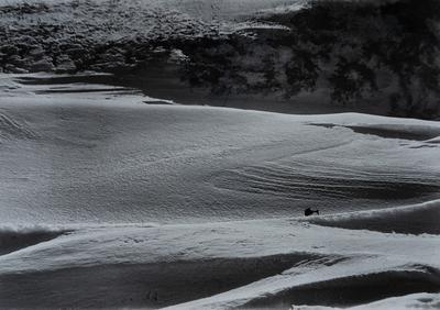 Snow Dunes — Volodymyr Olkhomiak