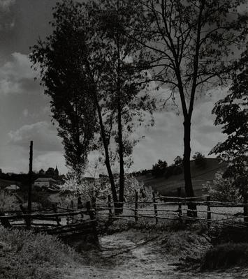 At the Edge of the Village — Volodymyr Olkhomiak