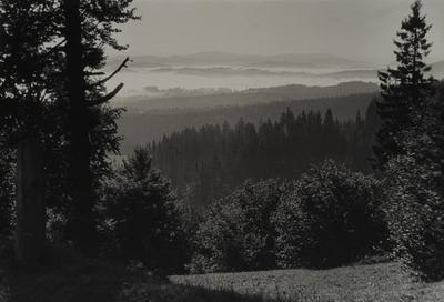 Morning in the Mountains — Volodymyr Olkhomiak