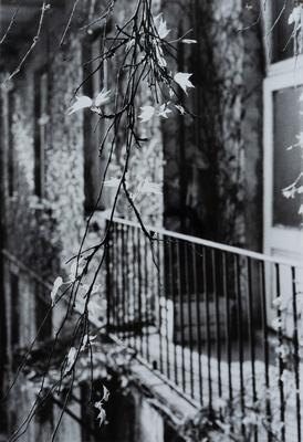 Untitled — Volodymyr Olkhomiak