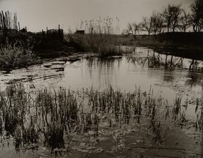 Untitled — Volodymyr Olkhomiak