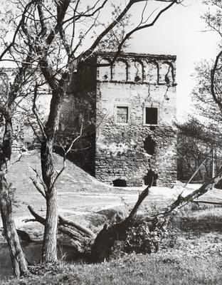 Castle of the 17th c. — Volodymyr Olkhomiak