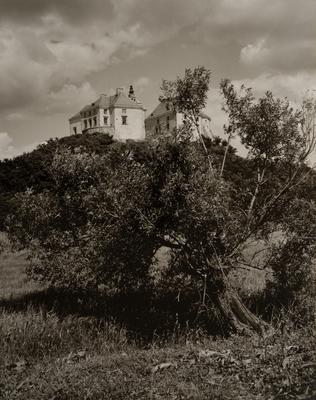Olesko Castle — Volodymyr Olkhomiak