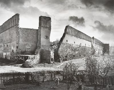 Замок XVII ст. — Володимир Ольхомяк