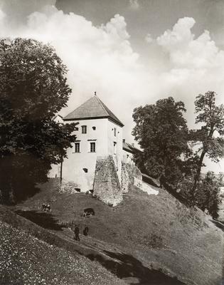 Castle Tower (1484) — Volodymyr Olkhomiak