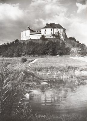 Castle of the 14th–17th c. — Volodymyr Olkhomiak