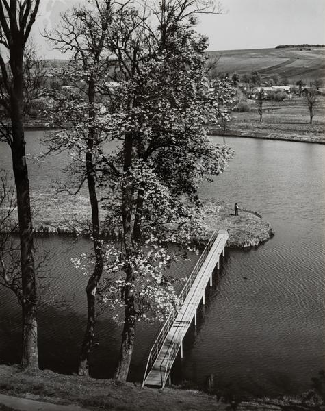 View of the Ponds from the Castle Hill