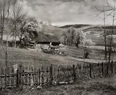 Untitled — Volodymyr Olkhomiak