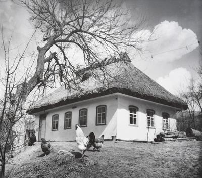 Untitled — Volodymyr Olkhomiak
