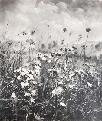 Untitled — Volodymyr Olkhomiak