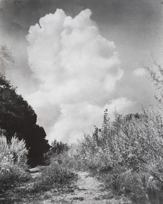 Untitled — Volodymyr Olkhomiak
