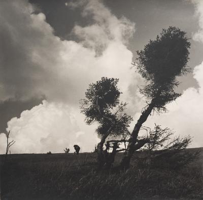 Untitled — Volodymyr Olkhomiak