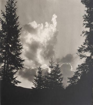 Untitled — Volodymyr Olkhomiak