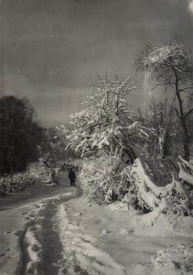 Untitled — Volodymyr Olkhomiak