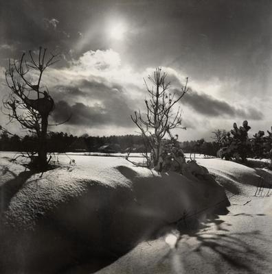 Untitled — Volodymyr Olkhomiak