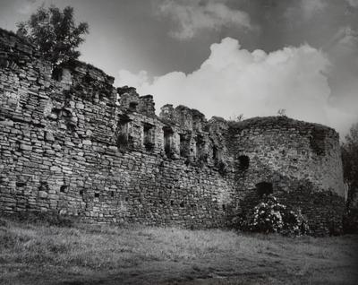 Castle of the 16th c. — Volodymyr Olkhomiak