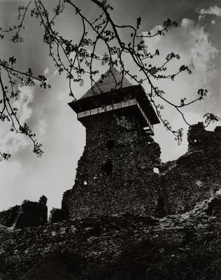 Ruins of the Castle of the 13th–14th c. — Volodymyr Olkhomiak