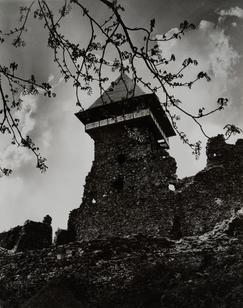 Ruins of the Castle of the 13th–14th c.
