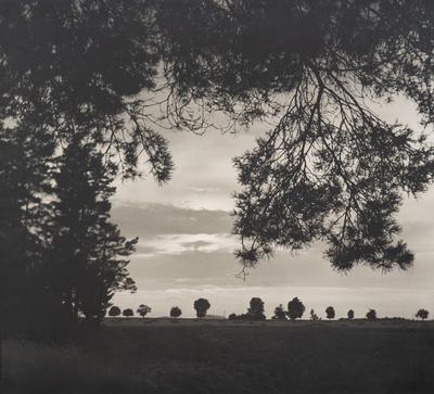Untitled — Volodymyr Olkhomiak