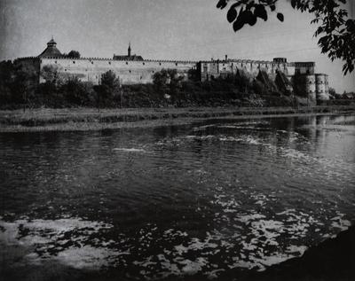 Castle of the 14th–17th c. — Volodymyr Olkhomiak