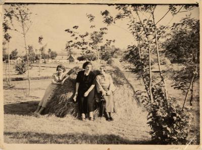 Untitled — unknown
