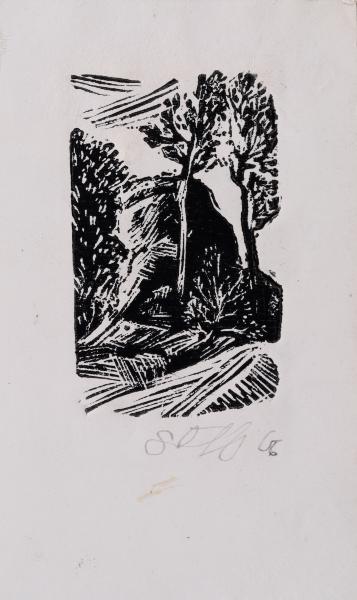 Landscape 1