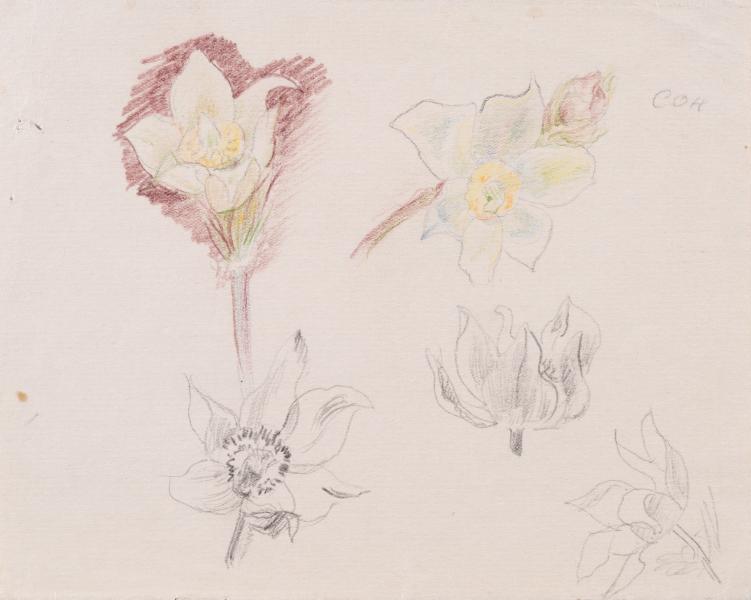 Sheet No. 2 from the "Siberian Flowers" Series 1