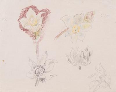 Sheet No. 2 from the "Siberian Flowers" Series — Yaroslava Muzyka
