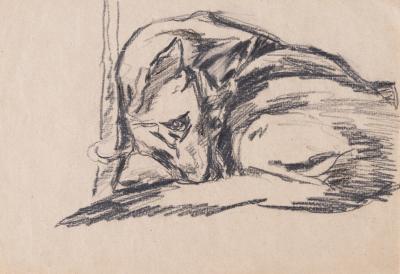 Dog Lying Down — Yaroslava Muzyka