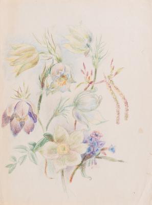 Sheet No. 1 from the "Siberian Flowers" Series — Yaroslava Muzyka