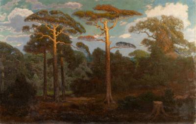 Pine Forest — Ludomir Benedyktowicz