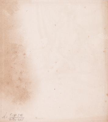 Натурник 2