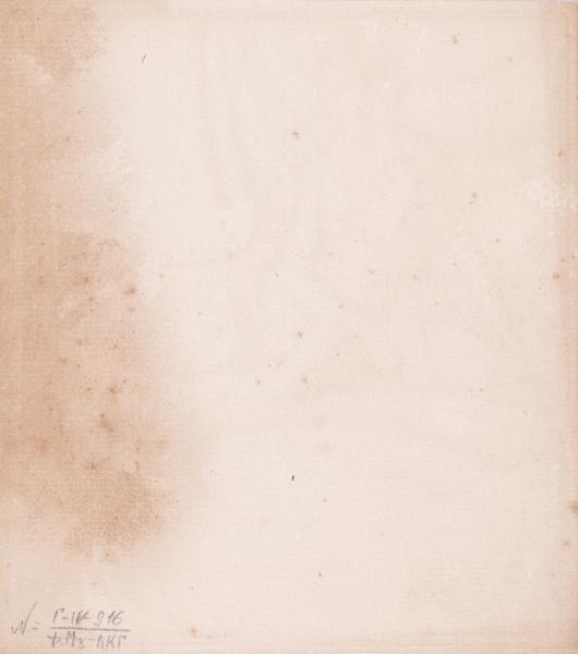 Натурник 2
