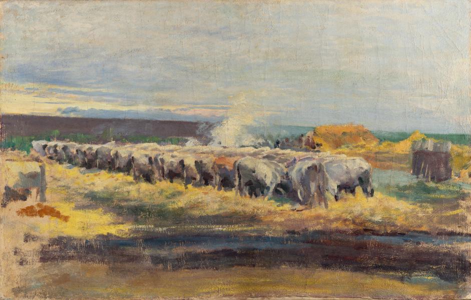 Oxen by the Trough (Sketch) 1