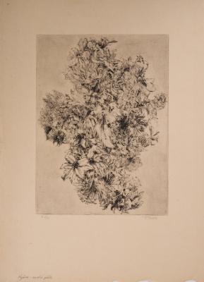 Bouquet — Frantisek Kobliha