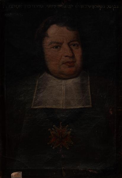 Portrait of Teodor Potocki 1
