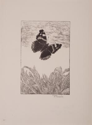 Butterfly — Frantisek Kobliha